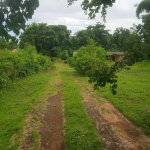 First image of Leas Flat, Forrest Hills in Kingston 19, St. Andrew, Jamaica - property is For Sale