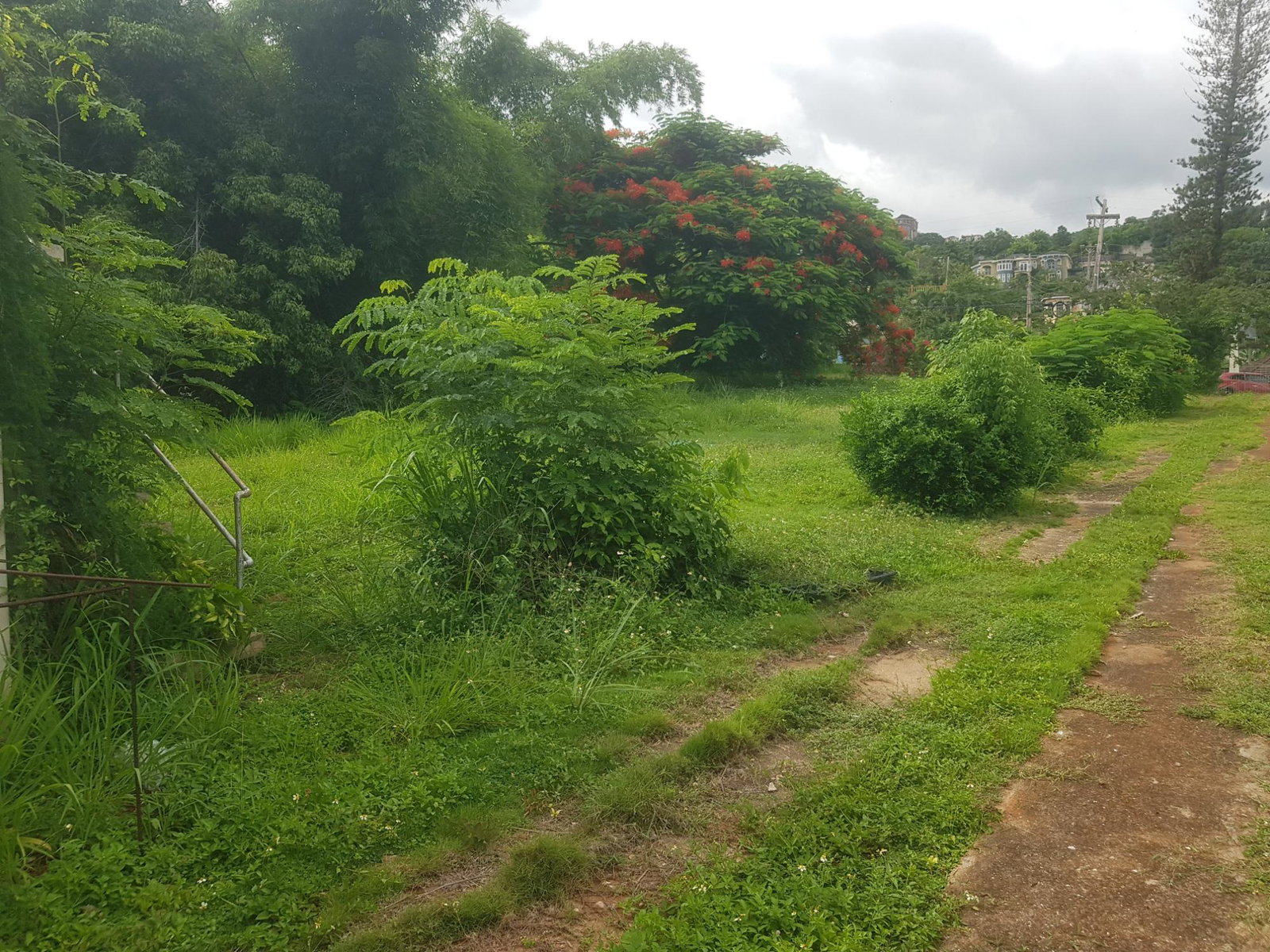 Fourth image of Leas Flat, Forrest Hills in Kingston 19, St. Andrew, Jamaica - property is For Sale