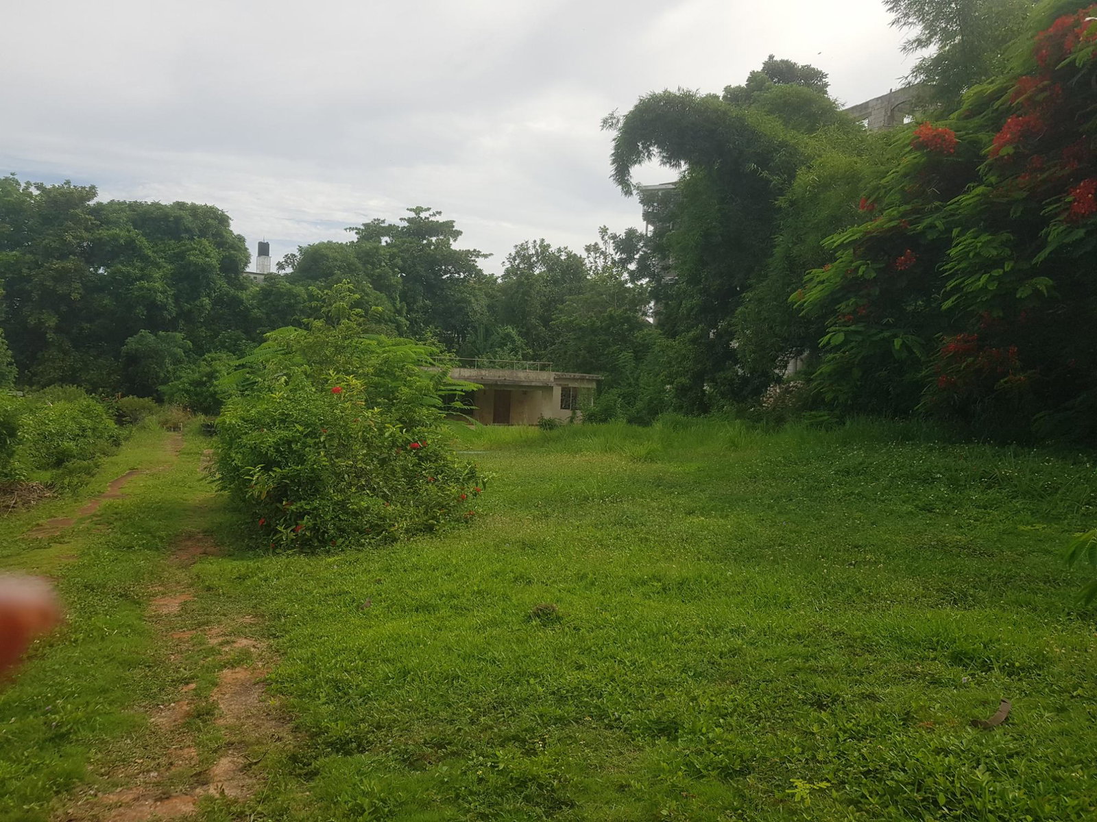 Sixth image of Leas Flat, Forrest Hills in Kingston 19, St. Andrew, Jamaica - property is For Sale