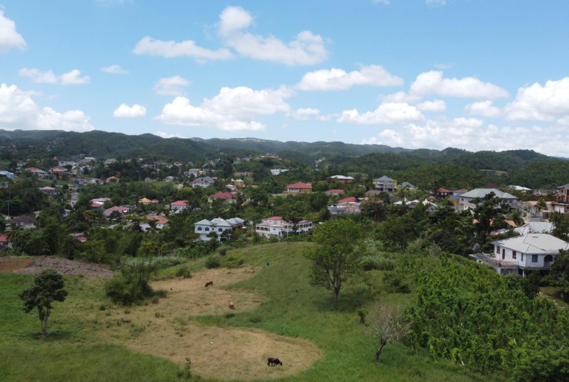 Eighteenth image of West Road, Brumalia, Mand in Mandeville, Manchester, Jamaica - property is For Sale