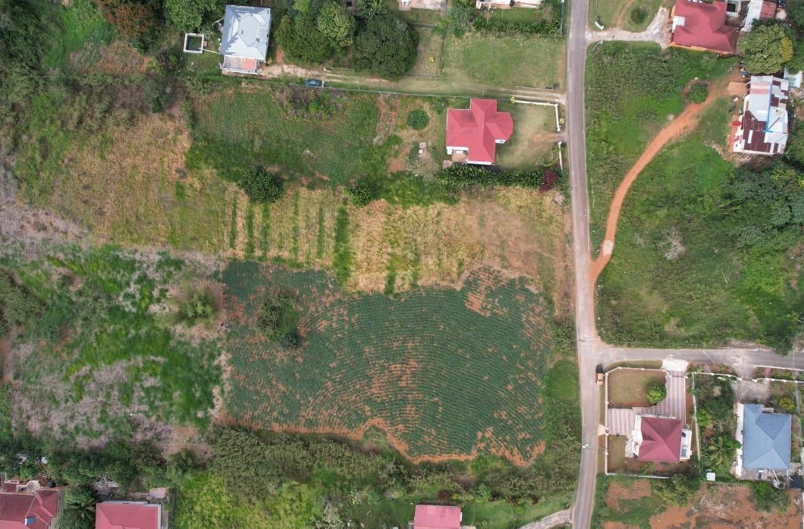 Third image of West Road, Brumalia, Mand in Mandeville, Manchester, Jamaica - property is For Sale