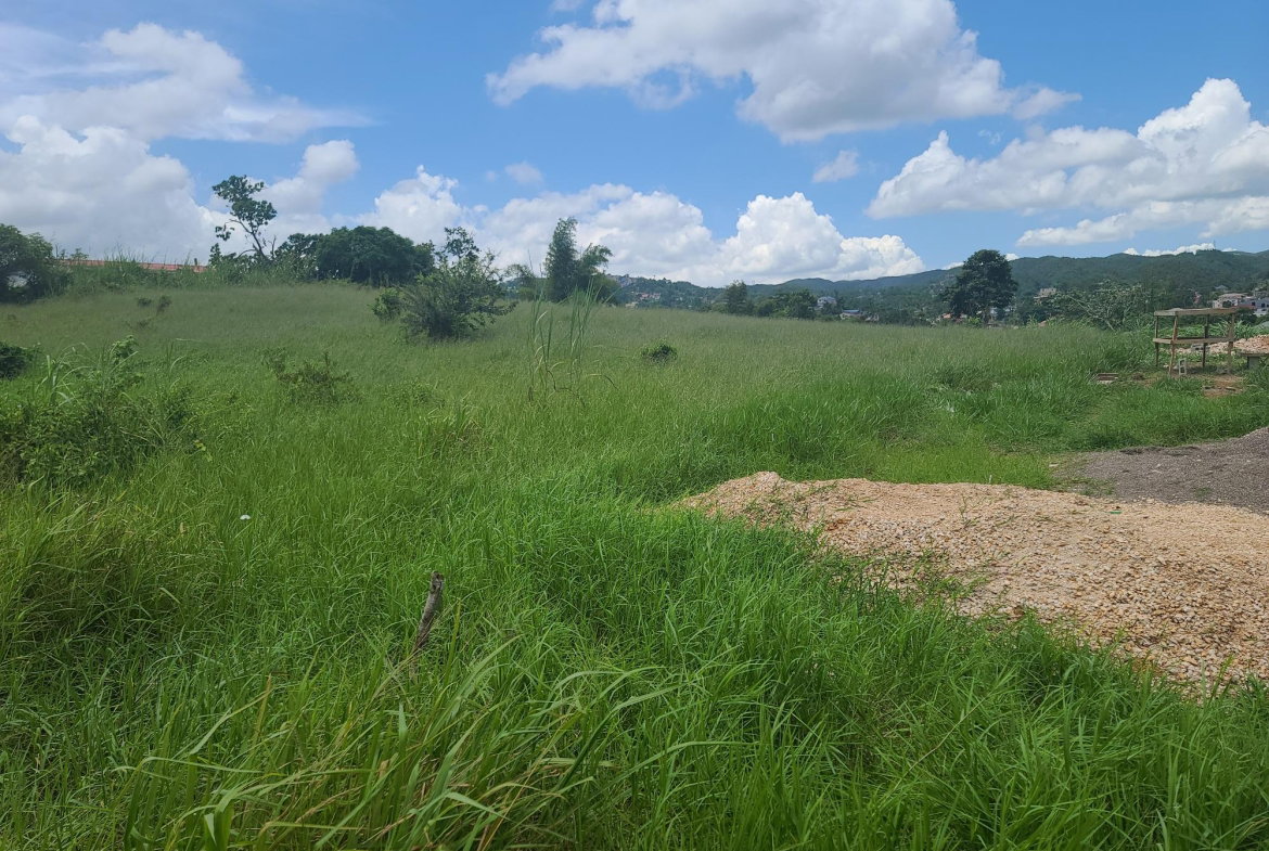 Twenty-Seventh image of West Road, Brumalia, Mand in Mandeville, Manchester, Jamaica - property is For Sale