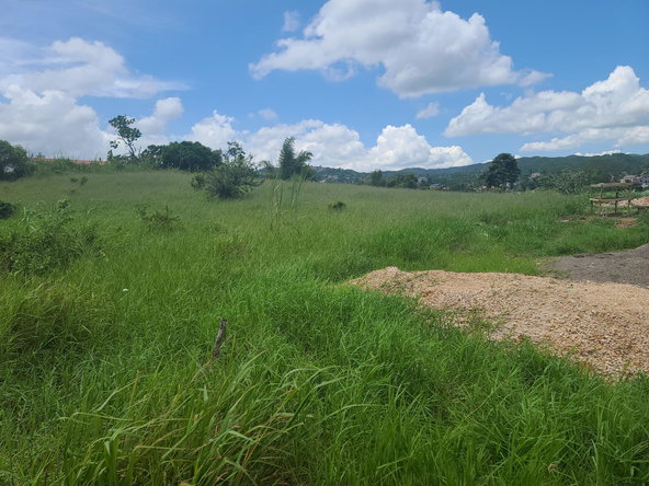 Twenty-Seventh image of West Road, Brumalia, Mand in Mandeville, Manchester, Jamaica - property is For Sale