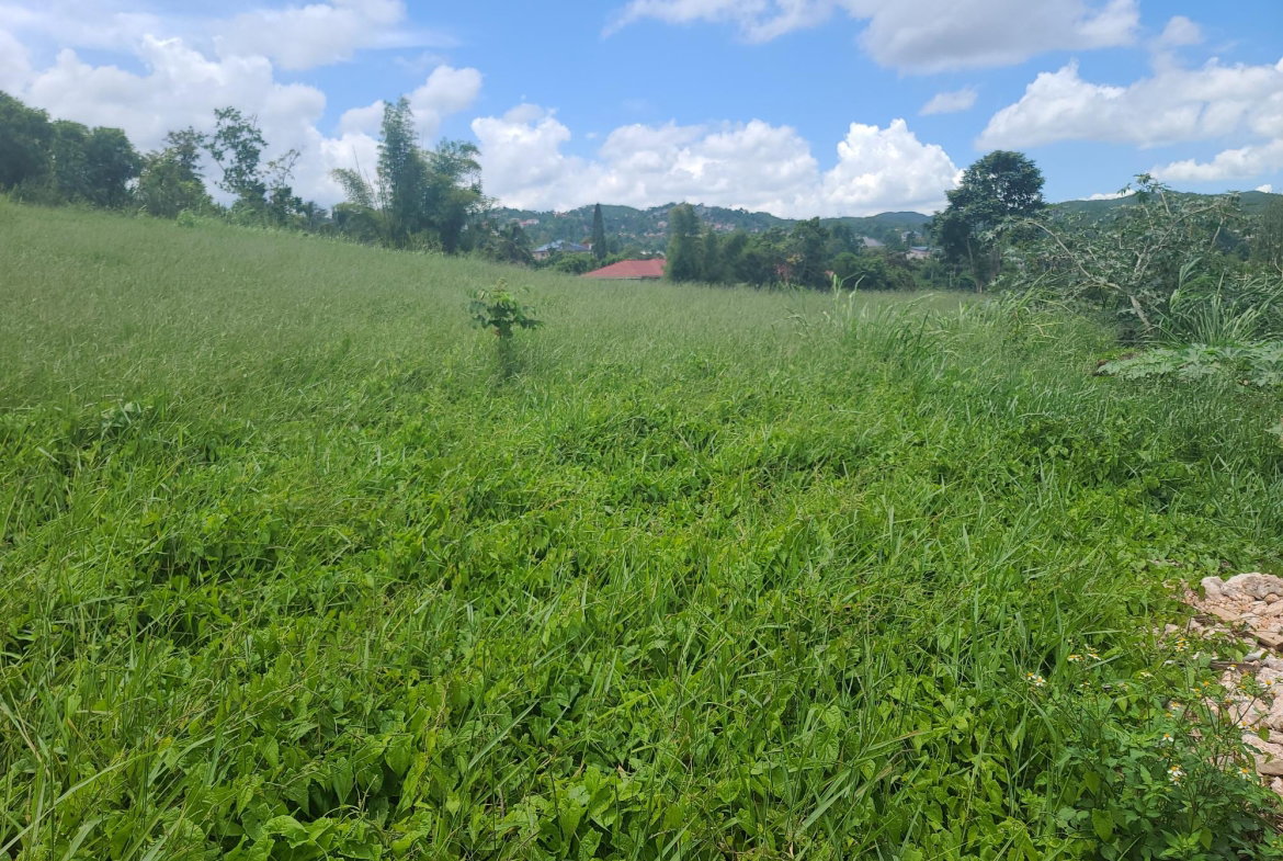 Twenty-Eighth image of West Road, Brumalia, Mand in Mandeville, Manchester, Jamaica - property is For Sale