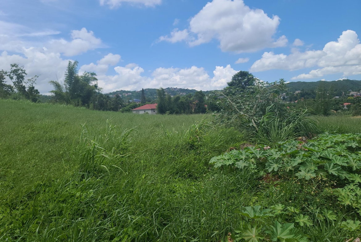 Twenty-Ninth image of West Road, Brumalia, Mand in Mandeville, Manchester, Jamaica - property is For Sale