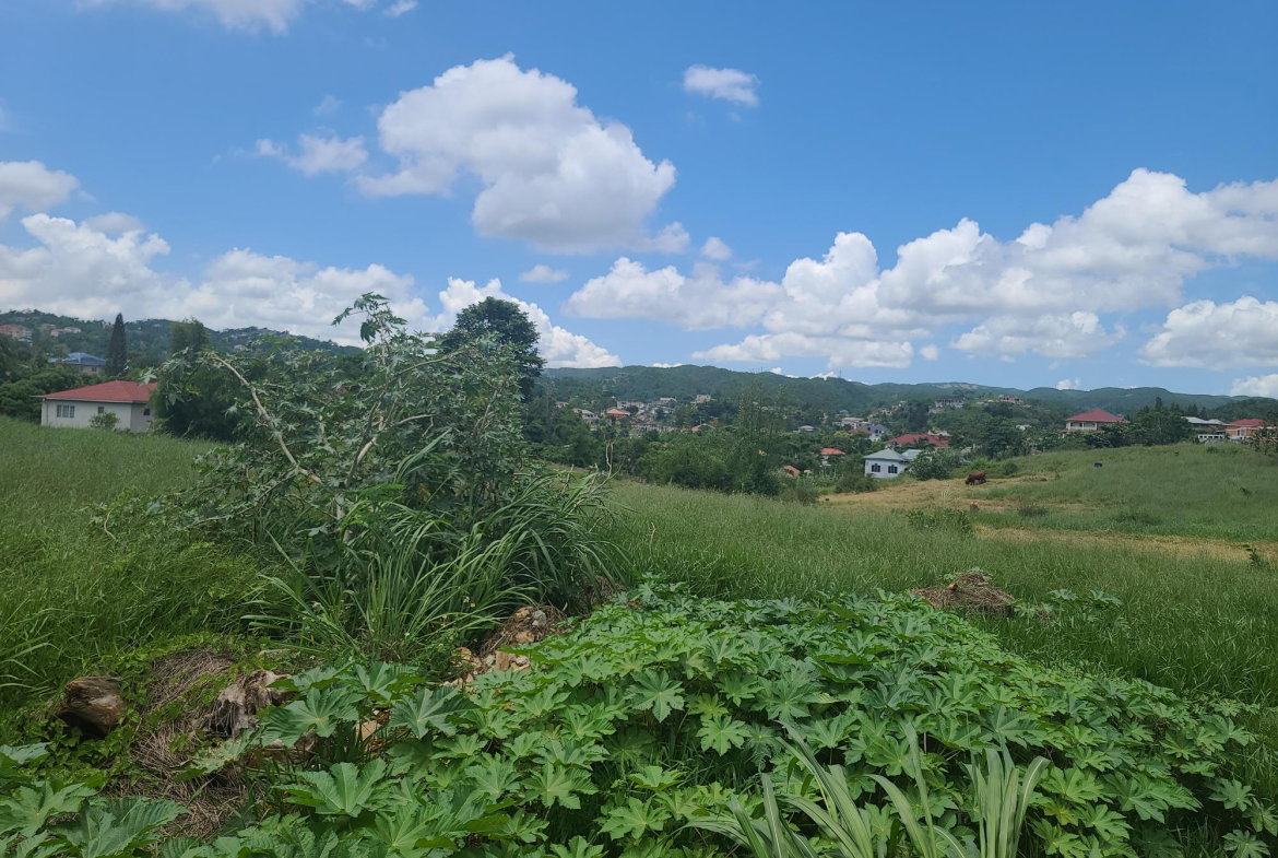 Thirtieth image of West Road, Brumalia, Mand in Mandeville, Manchester, Jamaica - property is For Sale