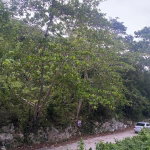 First image of Round Hill Hopewell in Hopewell, Hanover, Jamaica - property is For Sale