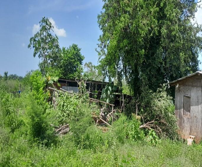 Second image of Land Part of Dover in Dover, St. Catherine, Jamaica - property is For Sale