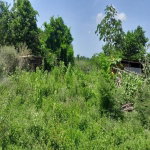 First image of Land Part of Dover in Dover, St. Catherine, Jamaica - property is For Sale