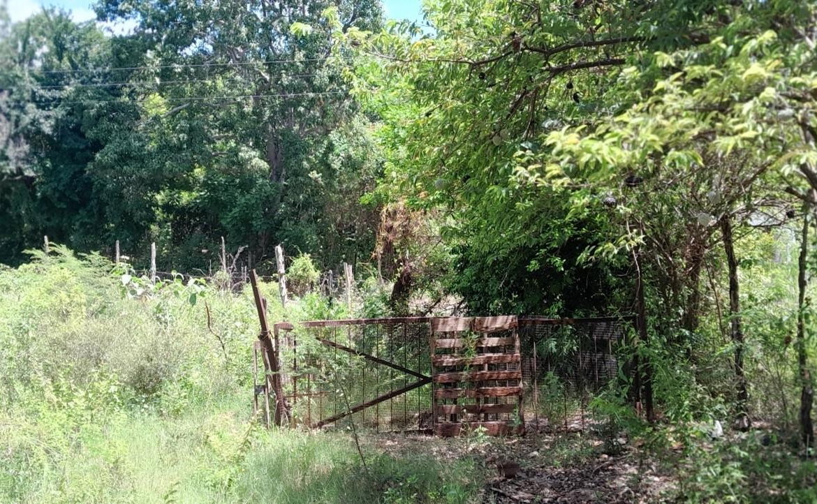 Third image of Land Part of Dover in Dover, St. Catherine, Jamaica - property is For Sale