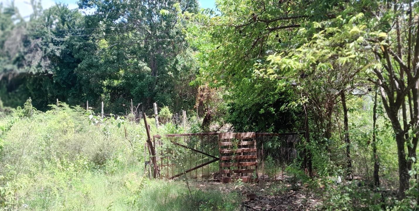 Third image of Land Part of Dover in Dover, St. Catherine, Jamaica - property is For Sale