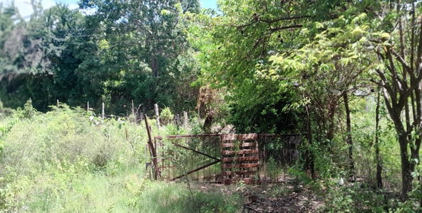 Third image of Land Part of Dover in Dover, St. Catherine, Jamaica - property is For Sale