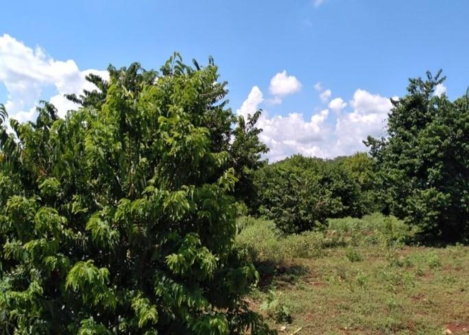 Fourth image of Land Part of Dover in Dover, St. Catherine, Jamaica - property is For Sale