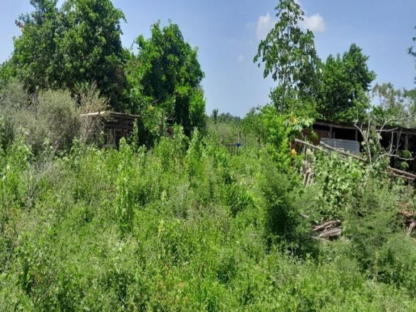 First image of Land Part of Dover in Dover, St. Catherine, Jamaica - property is For Sale