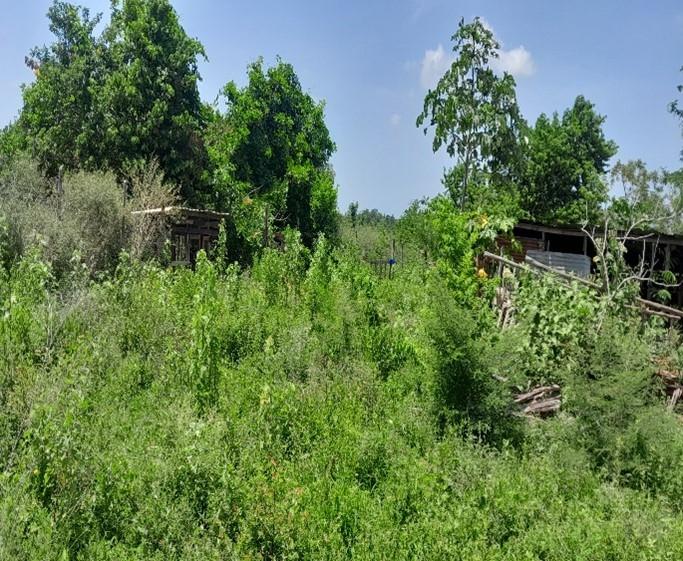 First image of Land Part of Dover in Dover, St. Catherine, Jamaica - property is For Sale