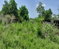 First image of Land Part of Dover in Dover, St. Catherine, Jamaica - property is For Sale