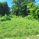 First image of a Great Pond in Ocho Rios, St. Ann, Jamaica - property is For Sale