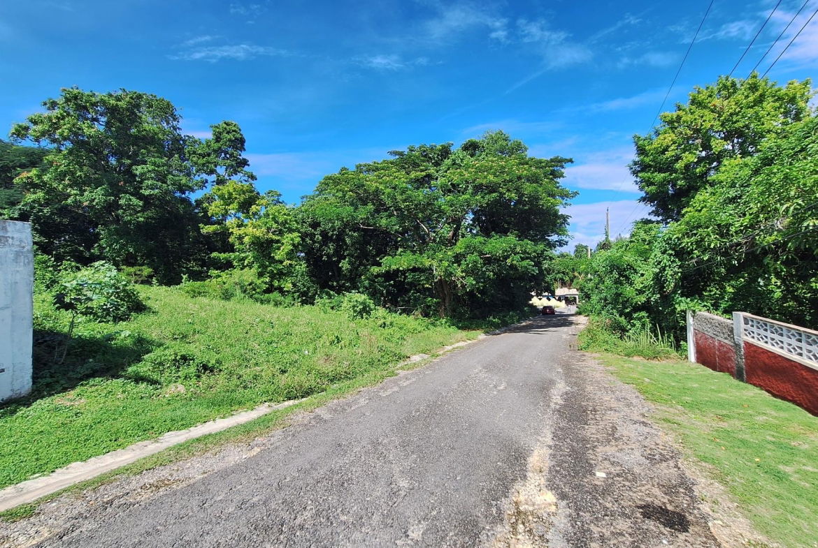 Third image of a Great Pond in Ocho Rios, St. Ann, Jamaica - property is For Sale