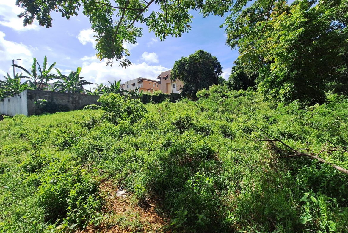 Eighth image of a Great Pond in Ocho Rios, St. Ann, Jamaica - property is For Sale