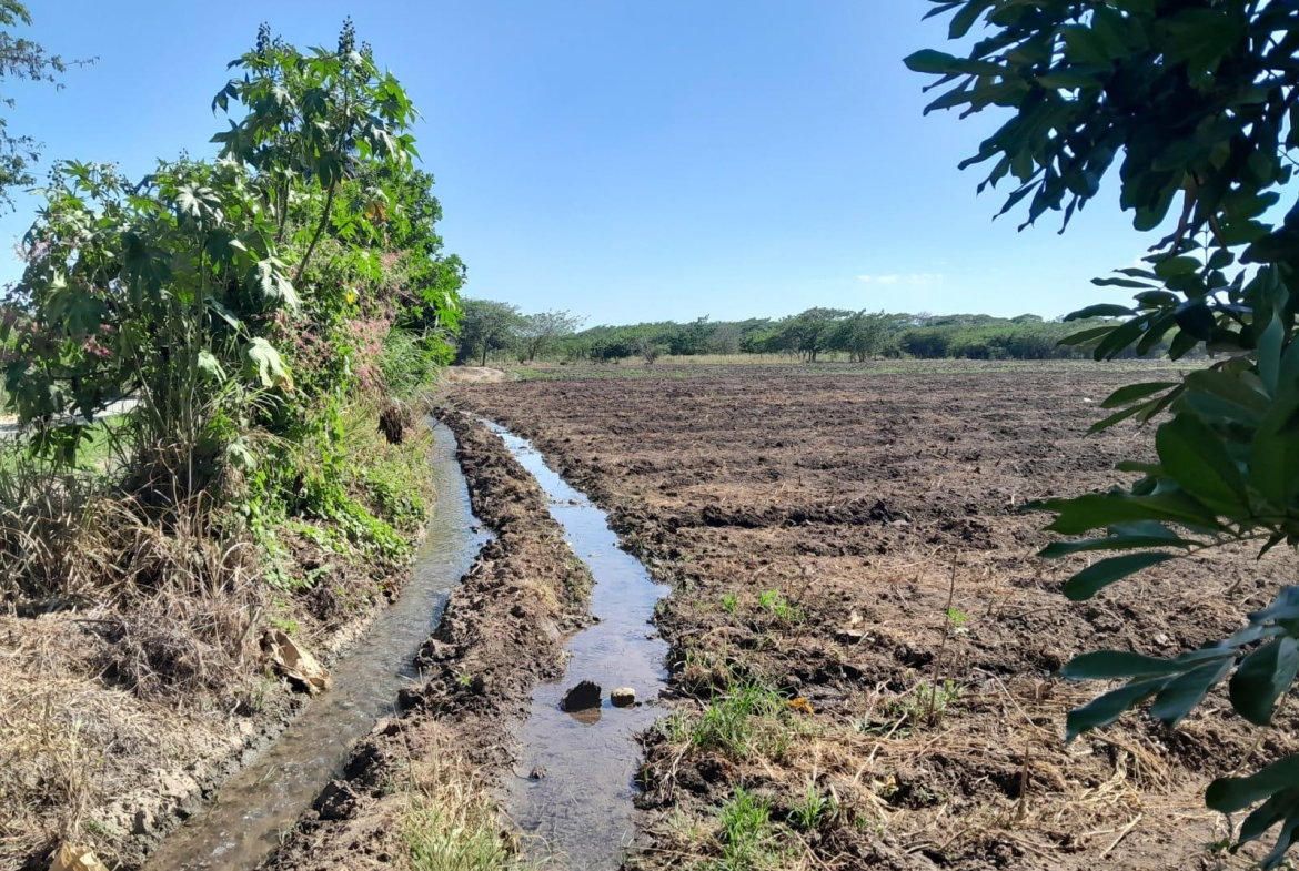 First image of 17- Bushy Park st Catherine in Gutters, St. Catherine, Jamaica - property is For Sale