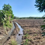 First image of 17- Bushy Park st Catherine in Gutters, St. Catherine, Jamaica - property is For Sale
