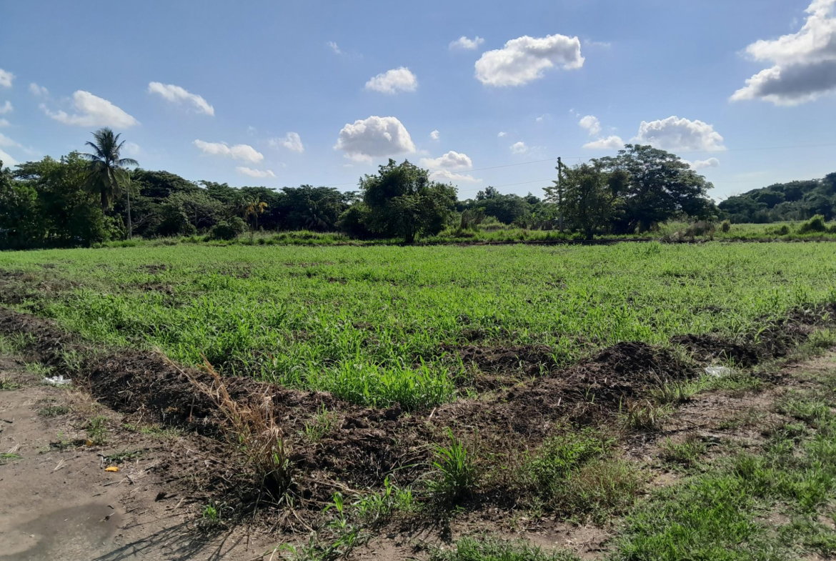 Third image of 17- Bushy Park st Catherine in Gutters, St. Catherine, Jamaica - property is For Sale
