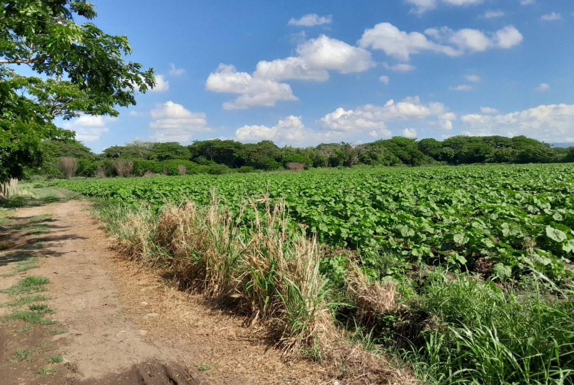 Fourth image of 17- Bushy Park st Catherine in Gutters, St. Catherine, Jamaica - property is For Sale