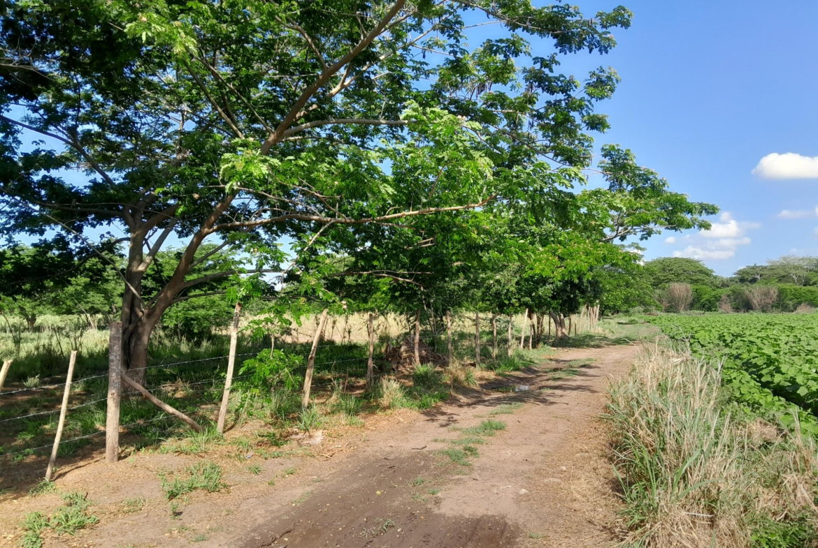 Fifth image of 17- Bushy Park st Catherine in Gutters, St. Catherine, Jamaica - property is For Sale
