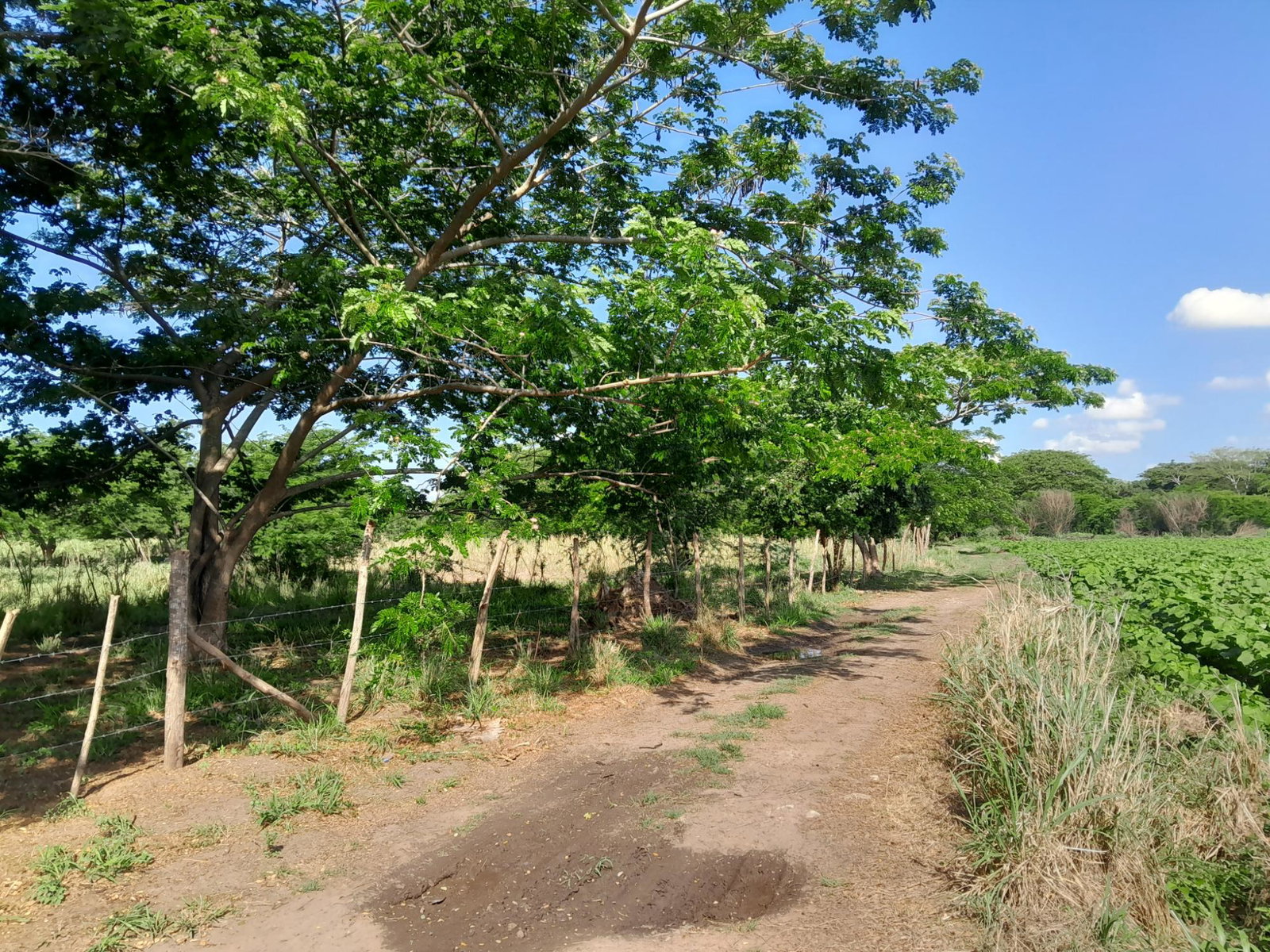 Fifth image of 17- Bushy Park st Catherine in Gutters, St. Catherine, Jamaica - property is For Sale