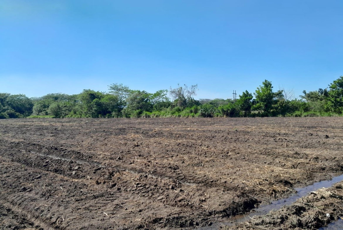 Sixth image of 17- Bushy Park st Catherine in Gutters, St. Catherine, Jamaica - property is For Sale