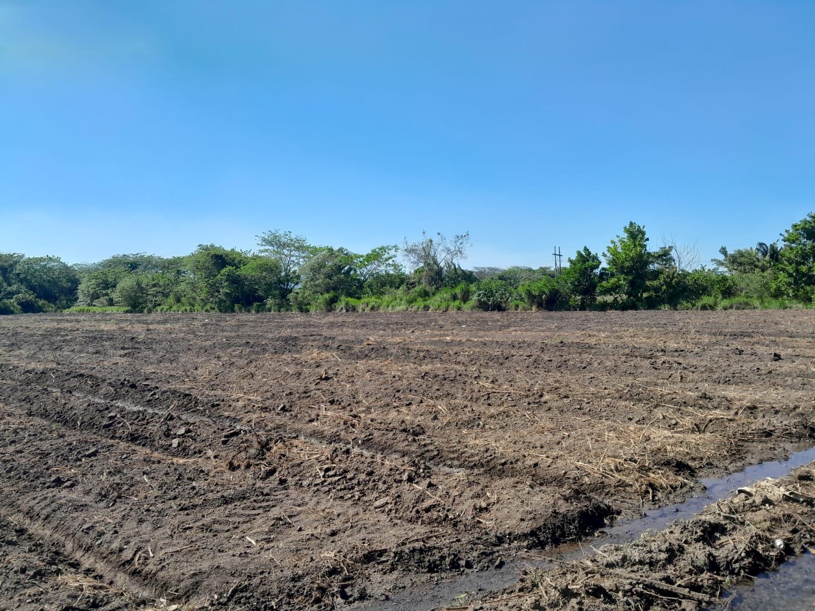 Sixth image of 17- Bushy Park st Catherine in Gutters, St. Catherine, Jamaica - property is For Sale