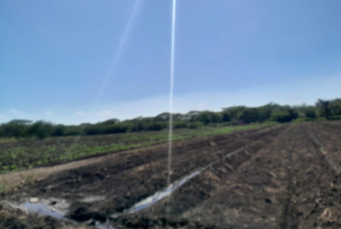 Seventh image of 17- Bushy Park st Catherine in Gutters, St. Catherine, Jamaica - property is For Sale