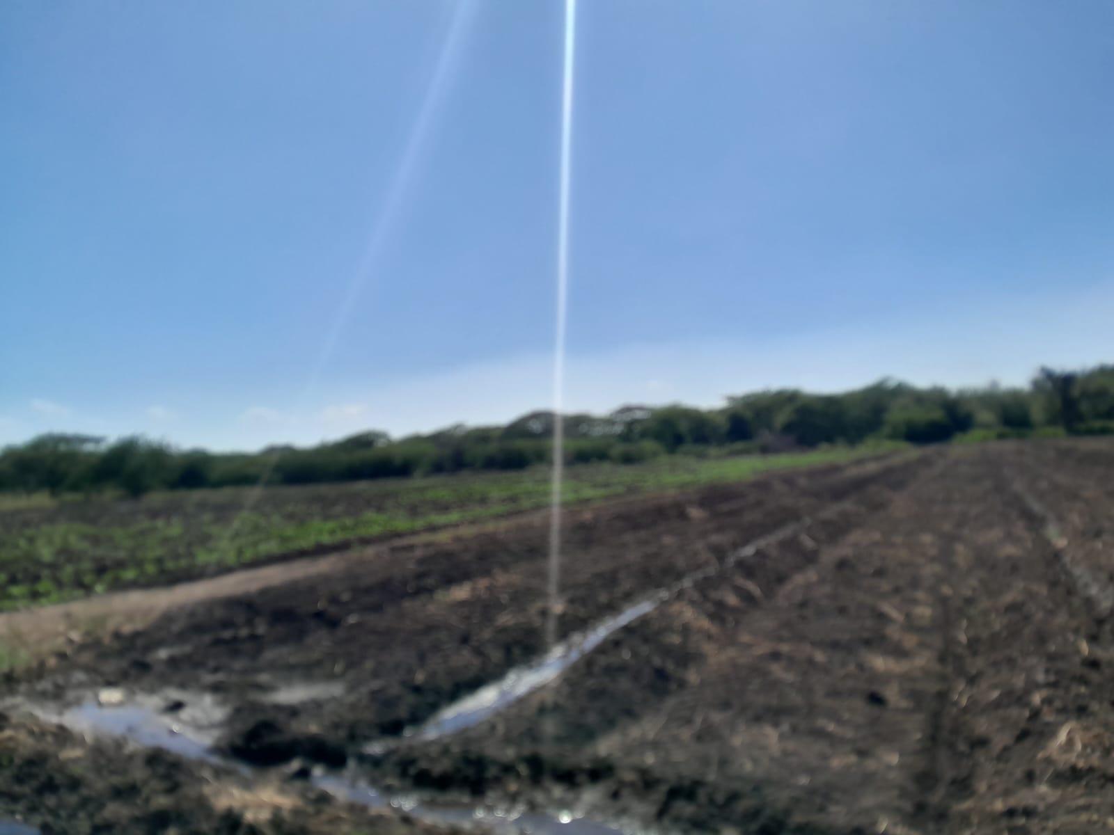 Seventh image of 17- Bushy Park st Catherine in Gutters, St. Catherine, Jamaica - property is For Sale