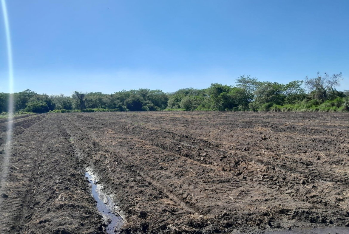 Eighth image of 17- Bushy Park st Catherine in Gutters, St. Catherine, Jamaica - property is For Sale