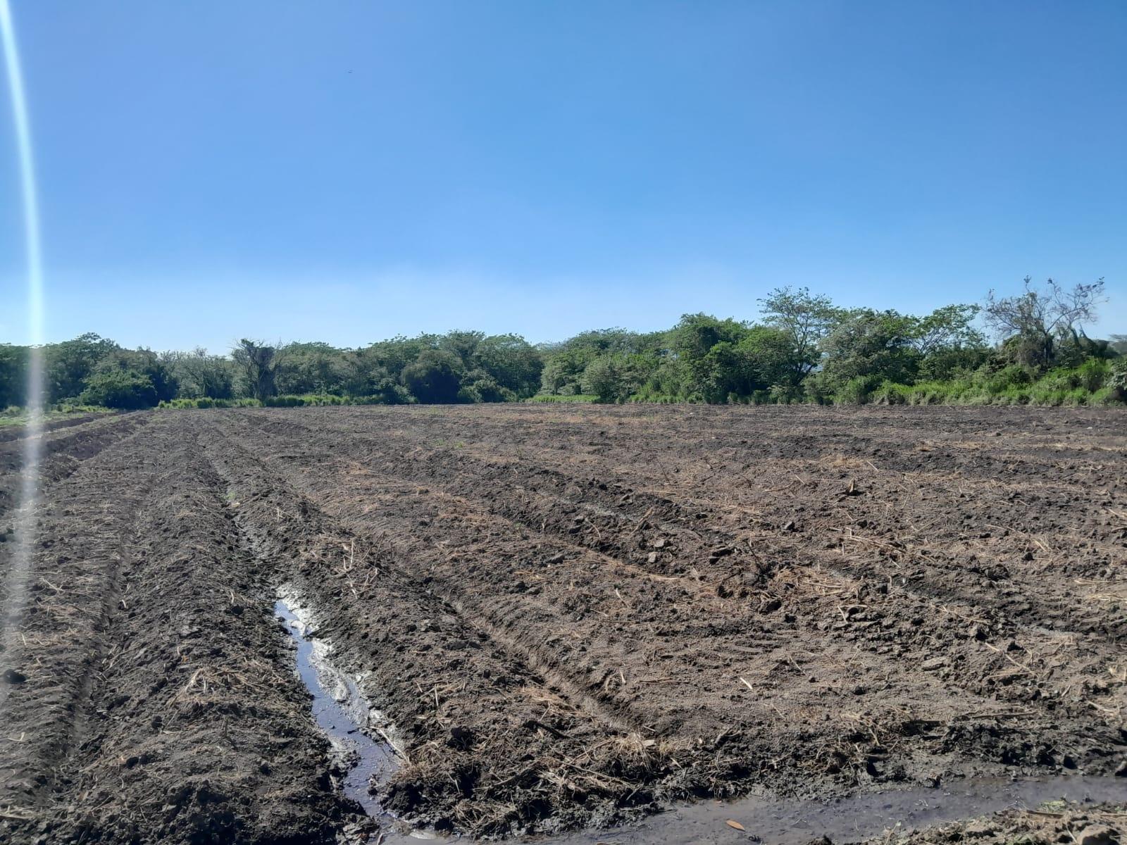Eighth image of 17- Bushy Park st Catherine in Gutters, St. Catherine, Jamaica - property is For Sale