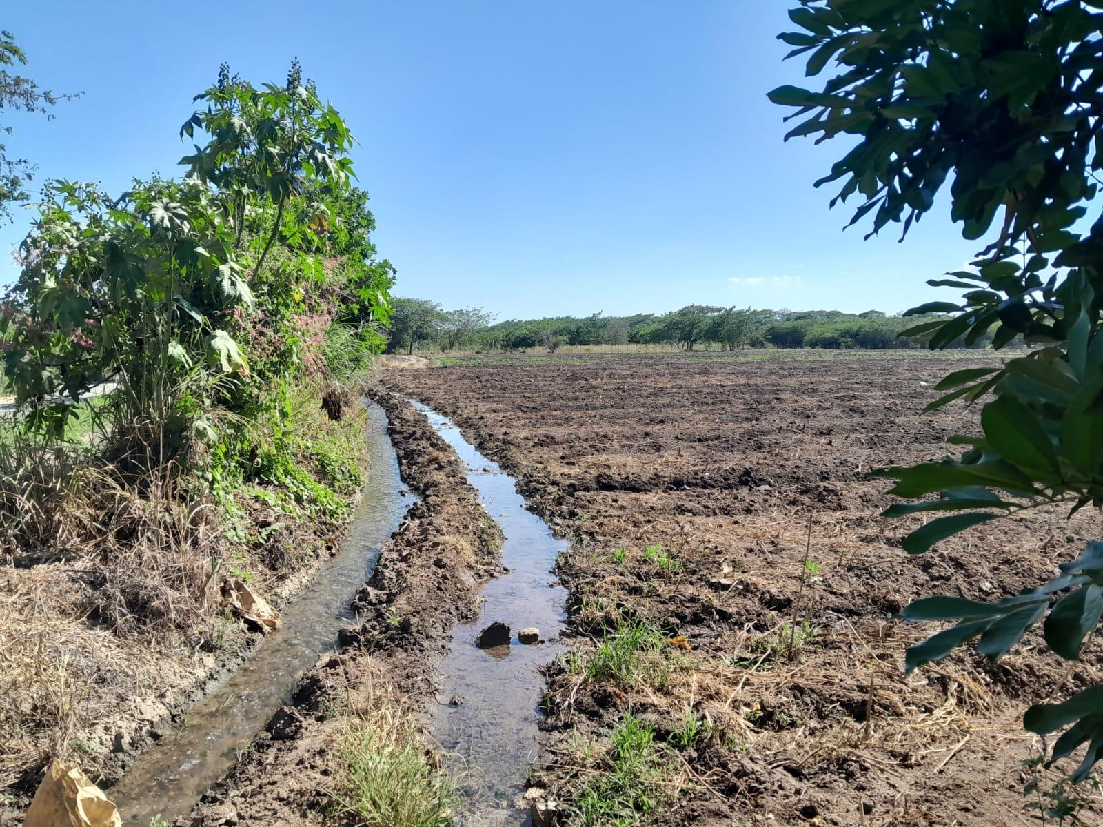 First image of 17- Bushy Park st Catherine in Gutters, St. Catherine, Jamaica - property is For Sale