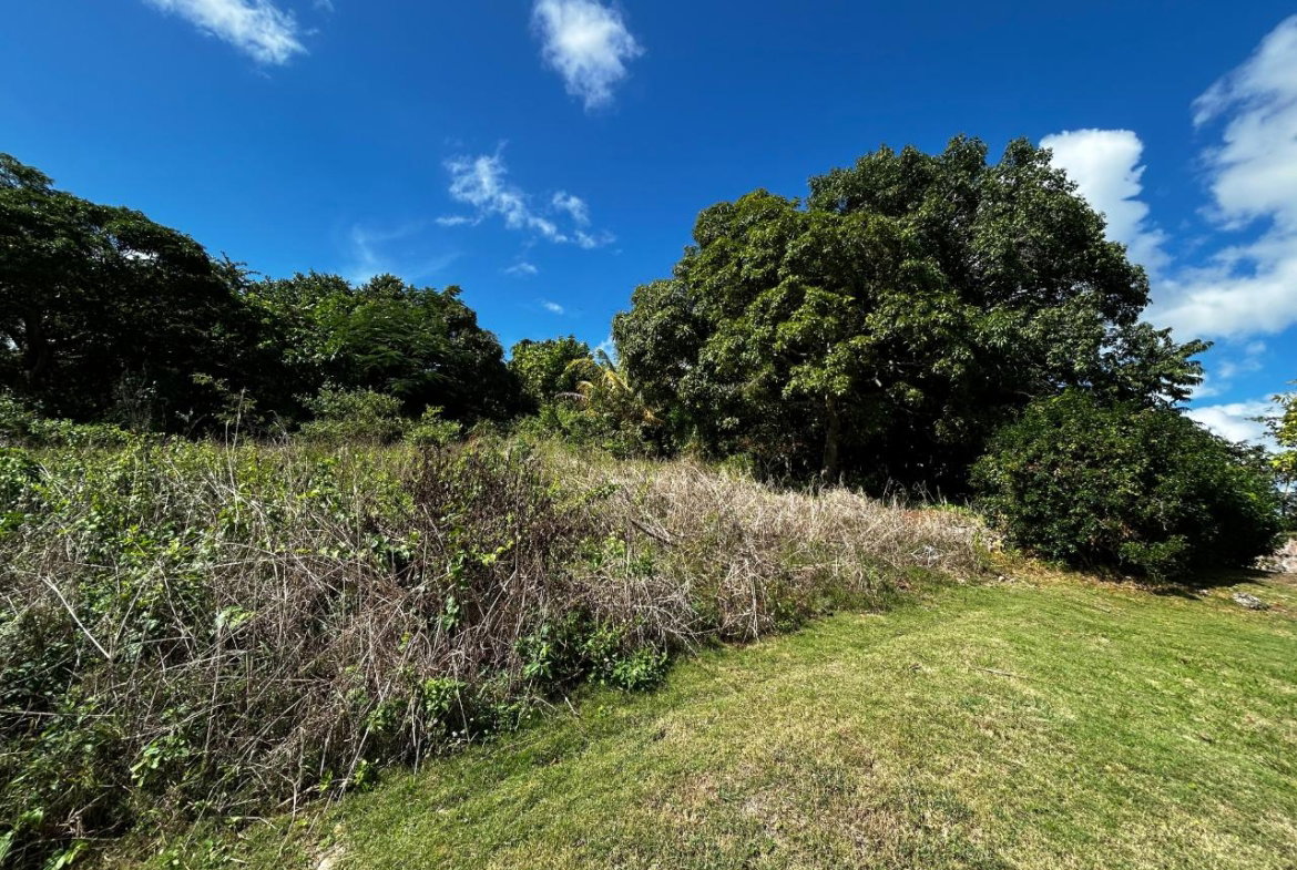 Twelfth image of Lincoln Road in Browns Town, St. Ann, Jamaica - property is For Sale