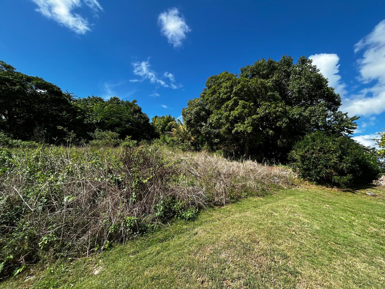 Twelfth image of Lincoln Road in Browns Town, St. Ann, Jamaica - property is For Sale