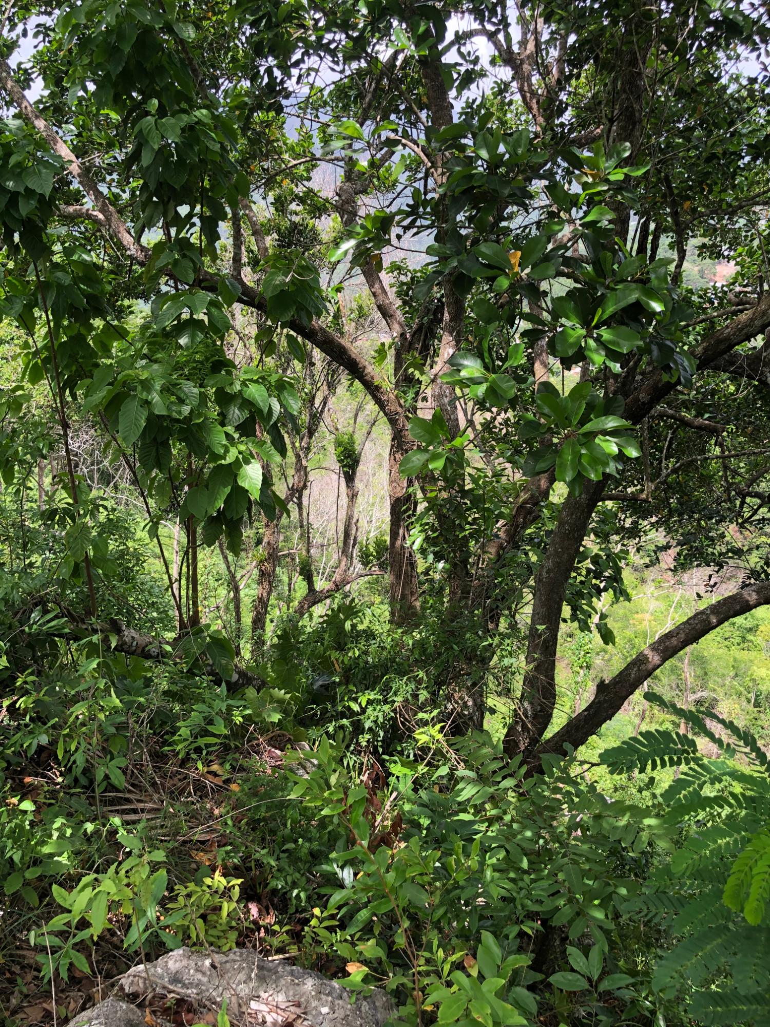 Twelfth image of 72 Sherwood Close, Sherbourn in Kingston 9, St. Andrew, Jamaica - property is For Sale