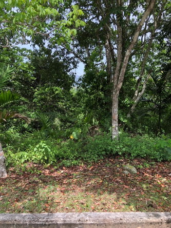 Thirteenth image of 72 Sherwood Close, Sherbourn in Kingston 9, St. Andrew, Jamaica - property is For Sale