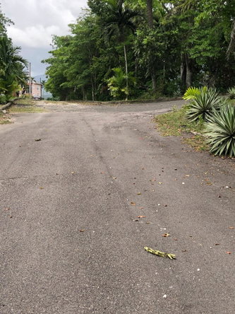 Fourth image of 72 Sherwood Close, Sherbourn in Kingston 9, St. Andrew, Jamaica - property is For Sale