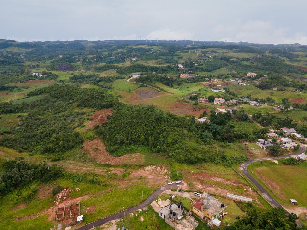 Eighth image of Lot-11 Daly's Grove, Manchester in Knockpatirck, Manchester, Jamaica - property is For Sale