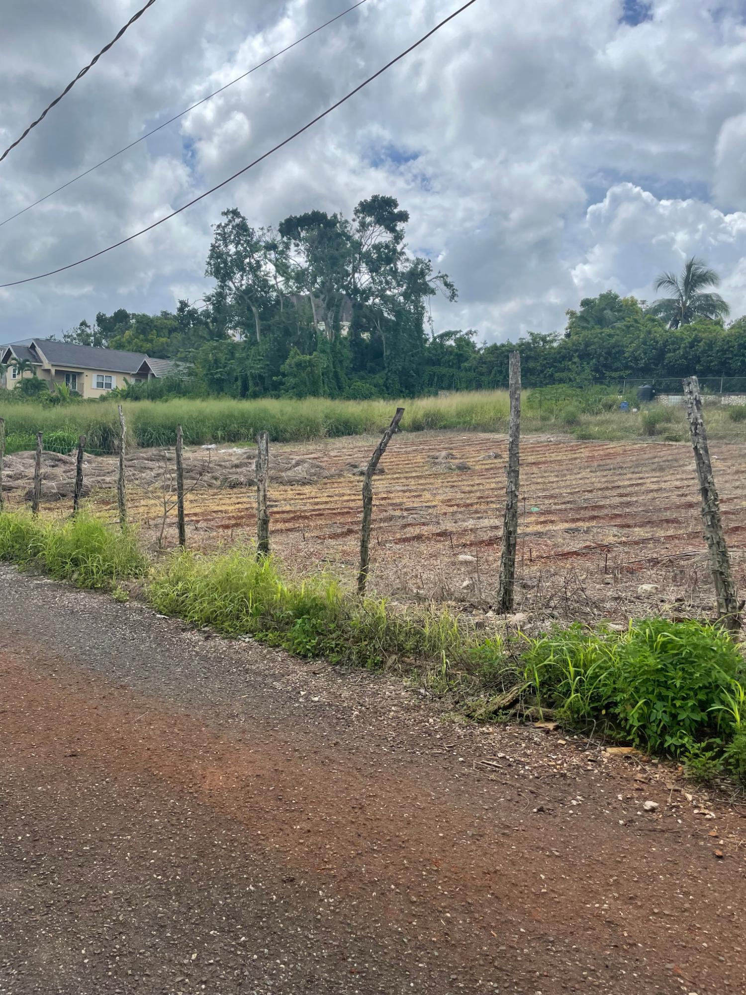 Eleventh image of 4 Godfrey Lands, Mandeville in Mandeville, Manchester, Jamaica - property is For Sale