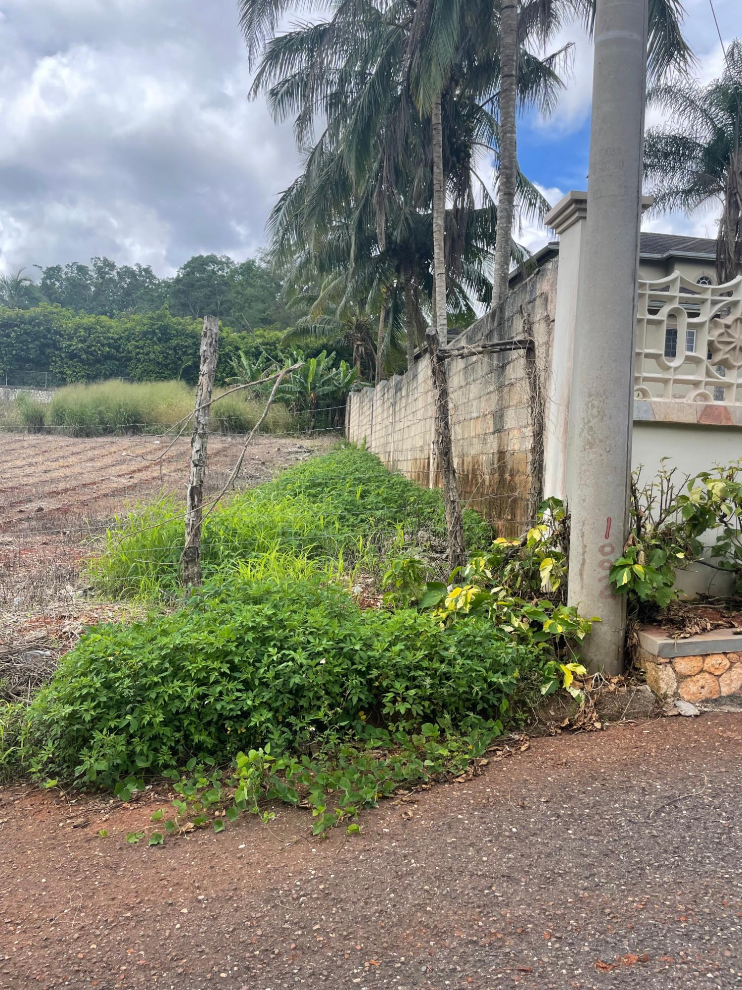 Fifth image of 4 Godfrey Lands, Mandeville in Mandeville, Manchester, Jamaica - property is For Sale
