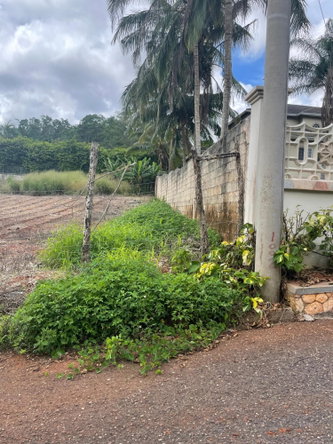 Fifth image of 4 Godfrey Lands, Mandeville in Mandeville, Manchester, Jamaica - property is For Sale