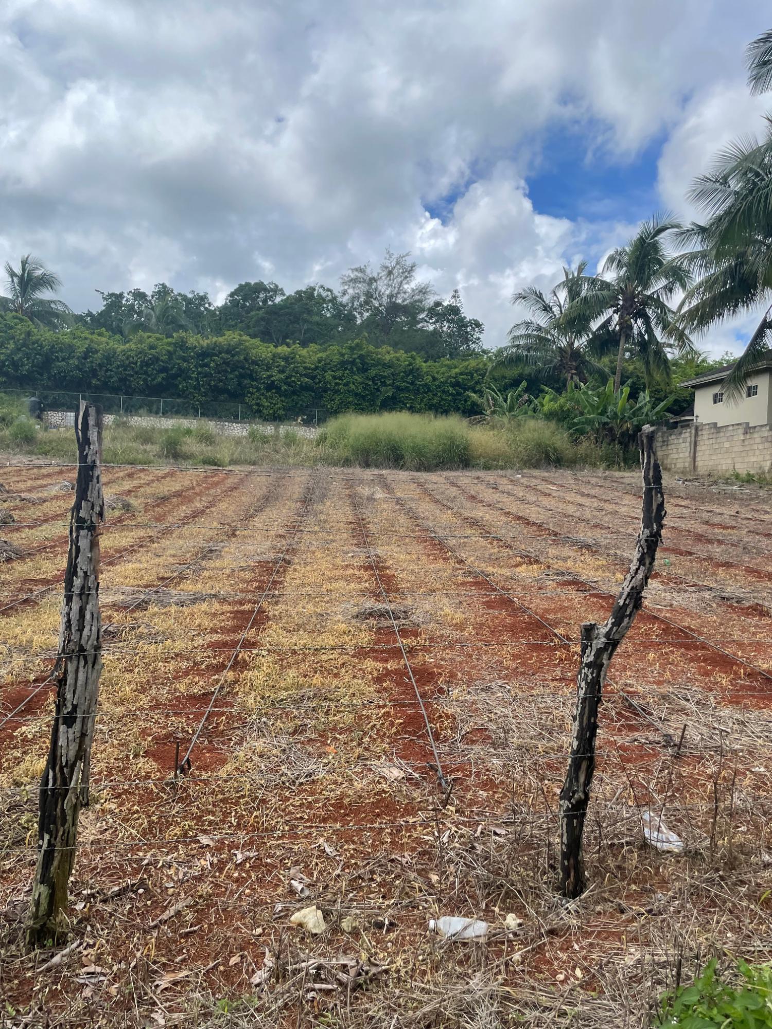 Sixth image of 4 Godfrey Lands, Mandeville in Mandeville, Manchester, Jamaica - property is For Sale