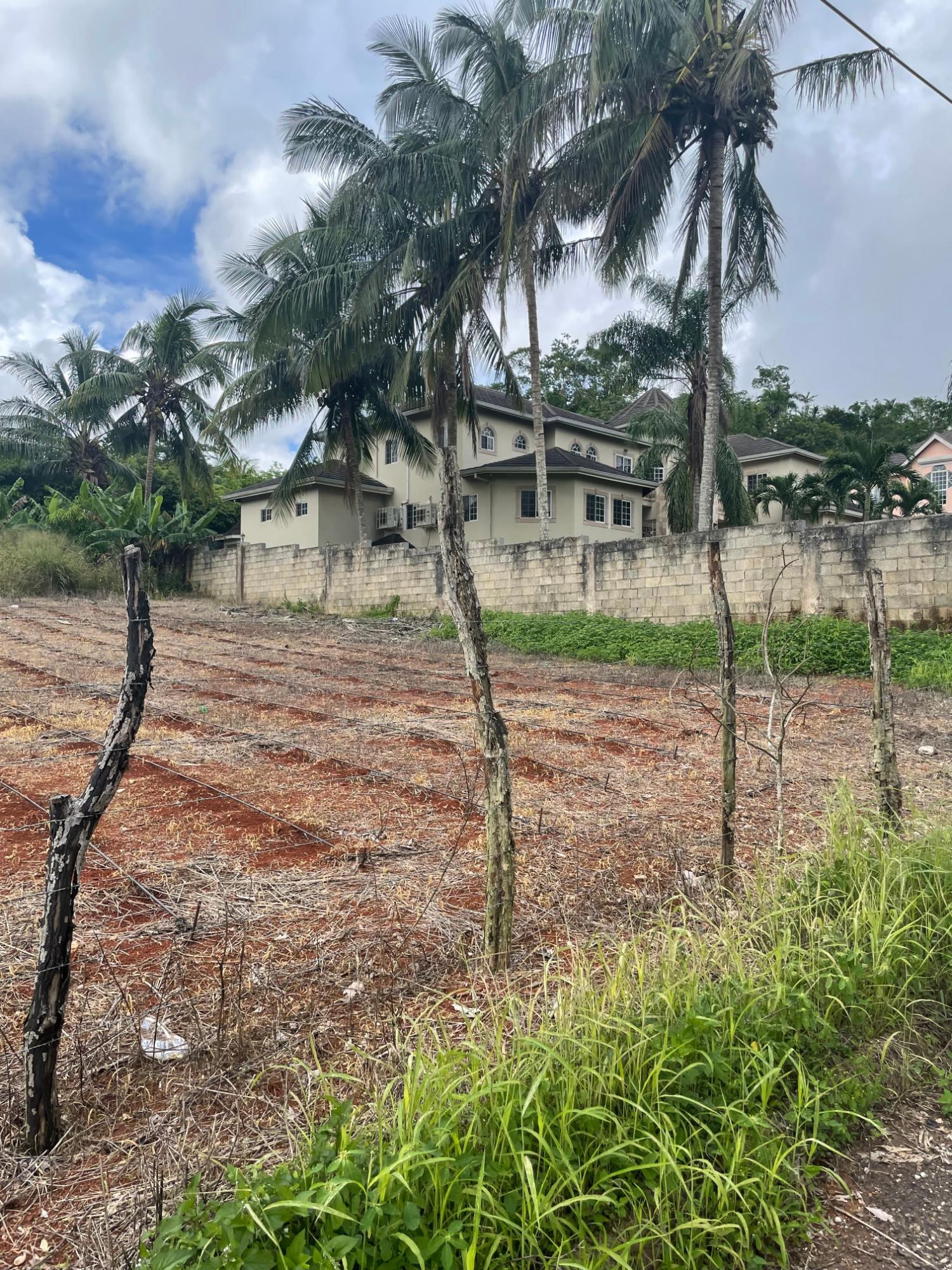 Seventh image of 4 Godfrey Lands, Mandeville in Mandeville, Manchester, Jamaica - property is For Sale