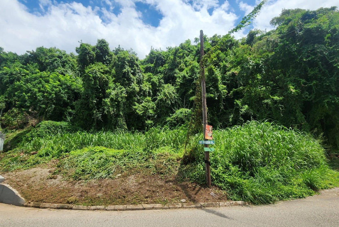 Second image of Lot 140b Belgrade, East Riverside in Havendale, St. Andrew, Jamaica - property is For Sale