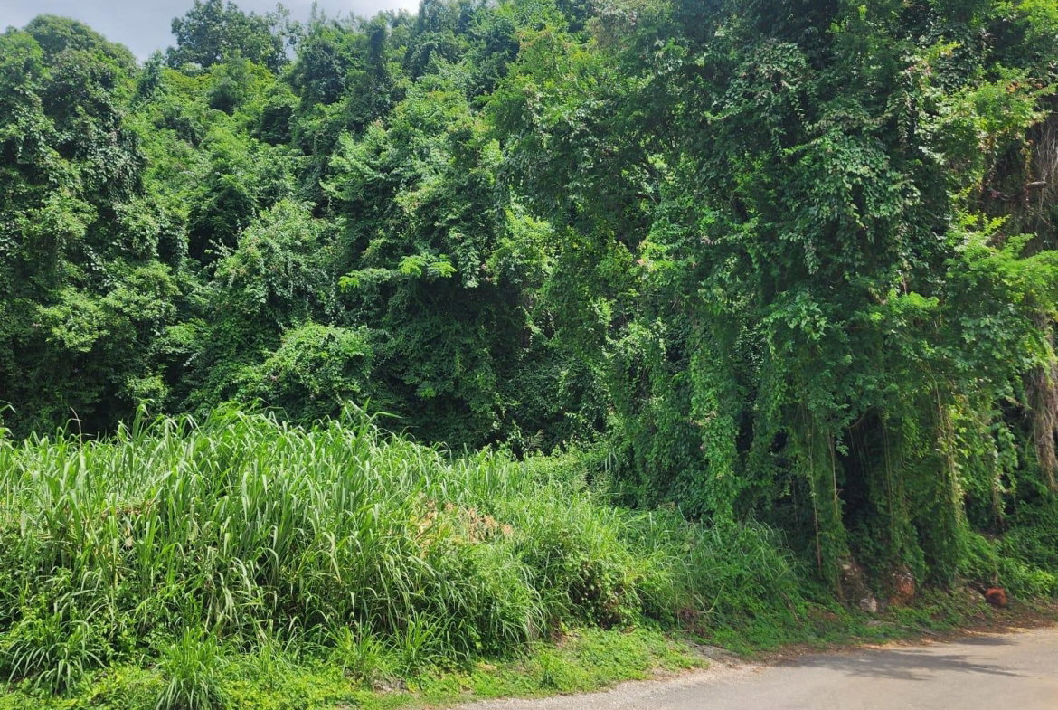 First image of Lot 140b Belgrade, East Riverside in Havendale, St. Andrew, Jamaica - property is For Sale