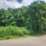 First image of Lot 140b Belgrade, East Riverside in Havendale, St. Andrew, Jamaica - property is For Sale
